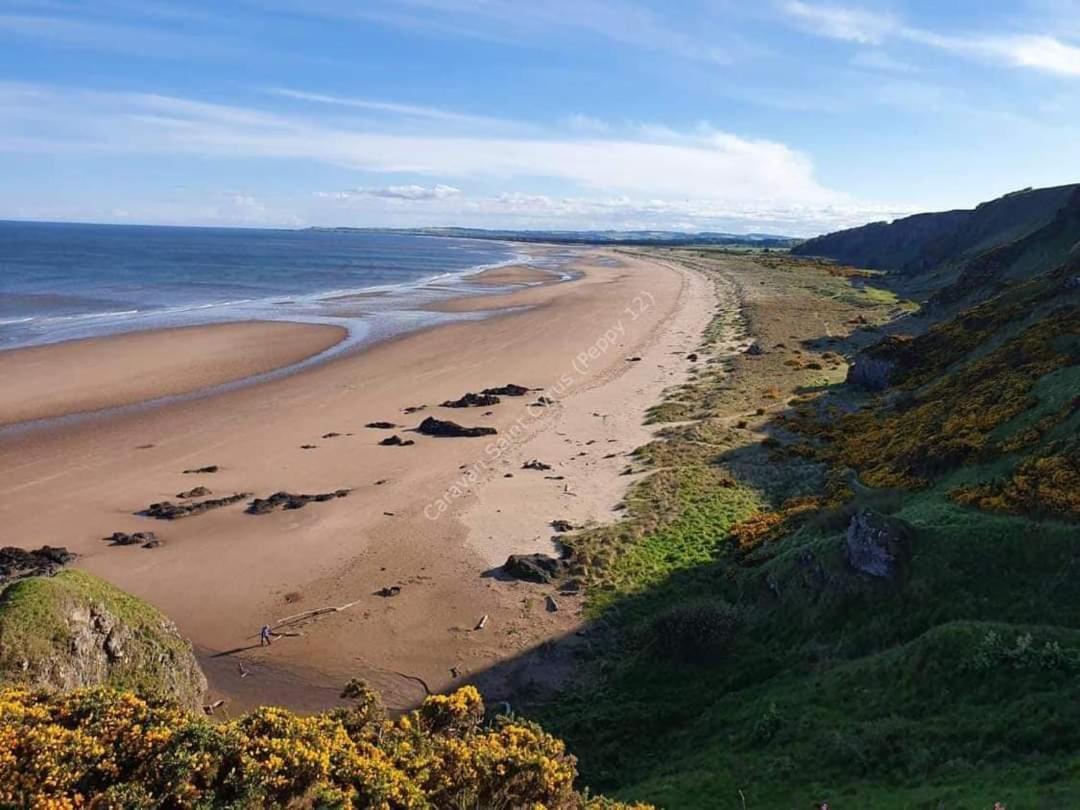 Wrights Retreat 4 Lunan View St Cyrus Caravan Park Saint Cyrus Bagian luar foto